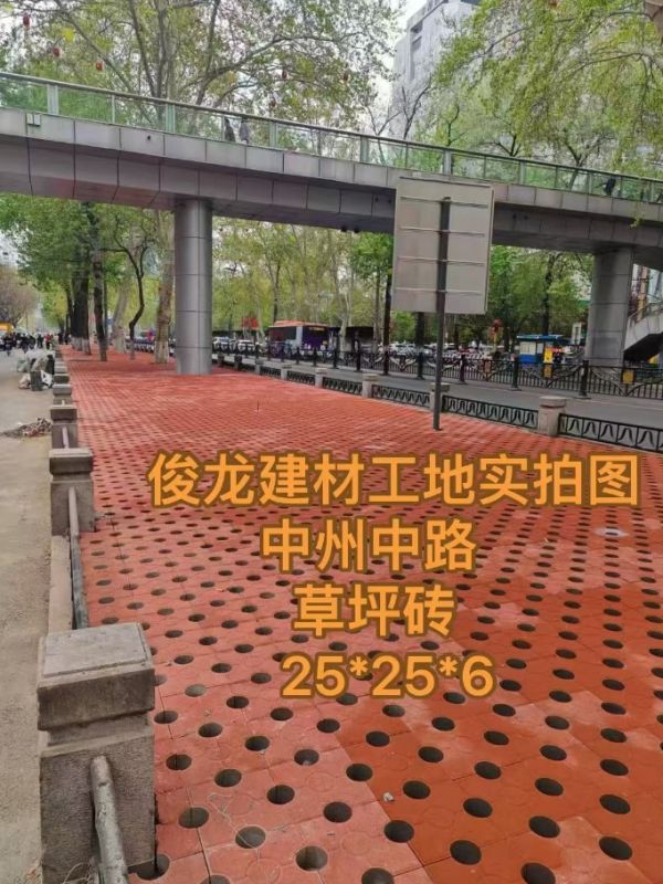 洛阳中州中路草坪砖