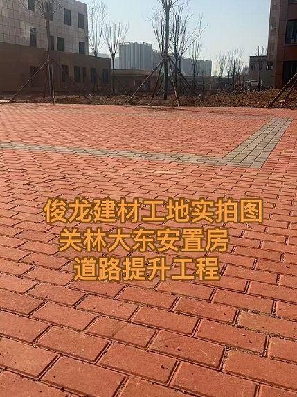 洛阳关林大东安置房 道路提升工程