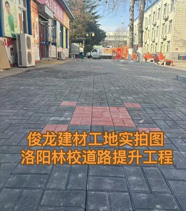 洛阳林校道路提升工程
