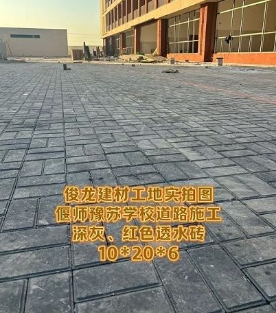 偃师豫苏学校道路施工 深灰、红色透水砖 10*20*6
