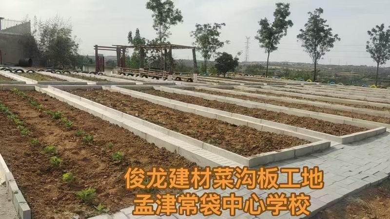孟津常袋中心学校