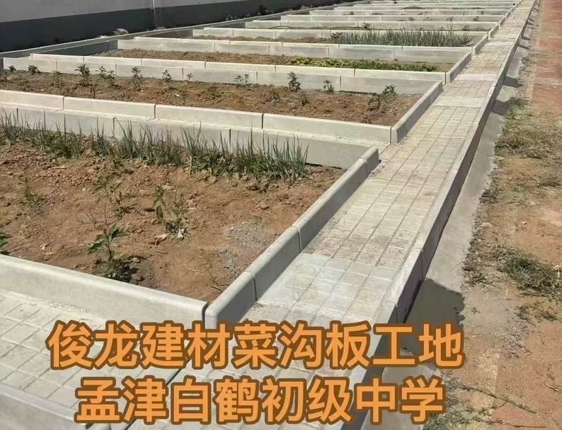 孟津白鹤初级中学