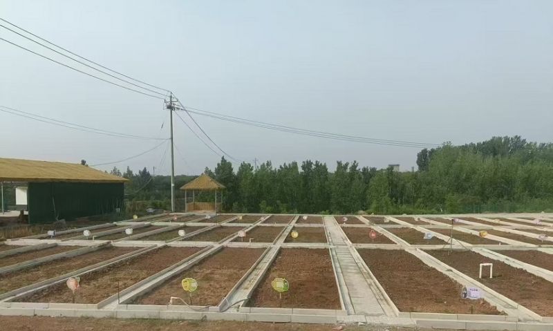 伊川野狐岭共享菜园